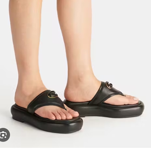 Coach slides - Picture 1 of 4
